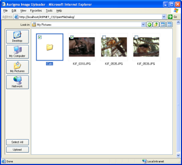 Open File Dialog sample, ActiveX