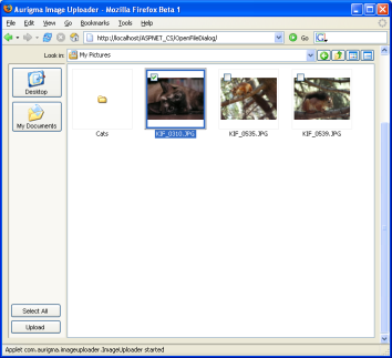 Open File Dialog sample, Java