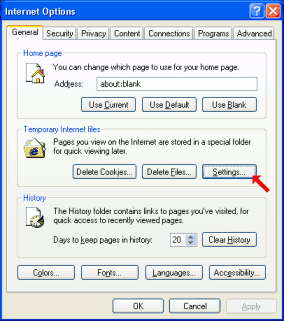 Settings button in IE6 options.