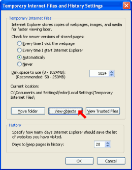 View Objects button in IE7 options.