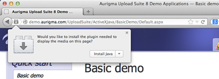 install and enable the Java plug-in