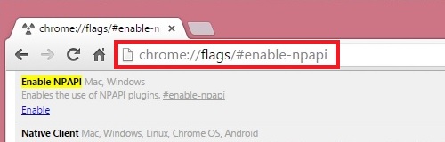 how to enable npapi how to enable npapi