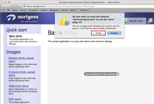  Java blocked for this website