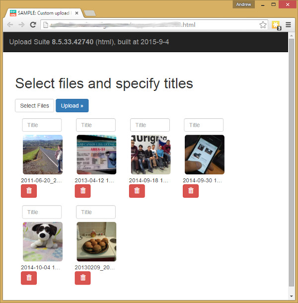 Uploader with custom upload list Uploader with custom upload list